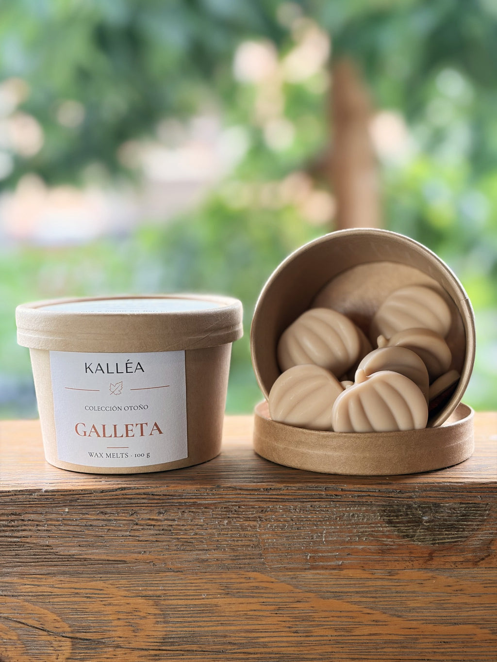 Galleta · Wax melts